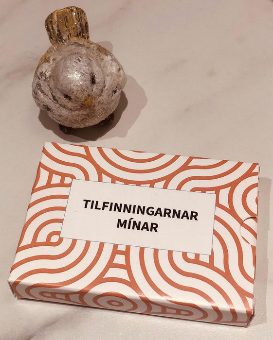 Tilfinningarnar mínar 48 spil