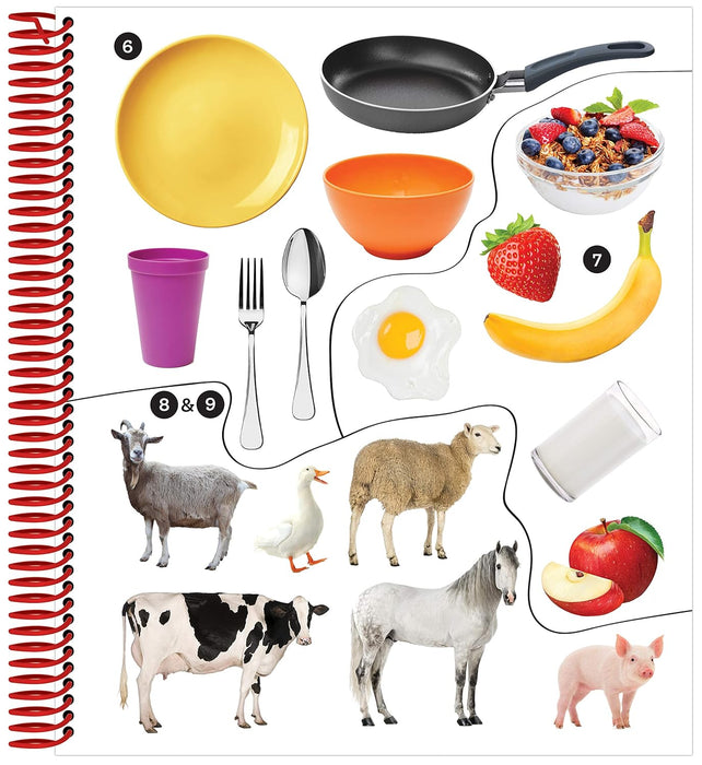 Límmiðabók fyrstu orðin