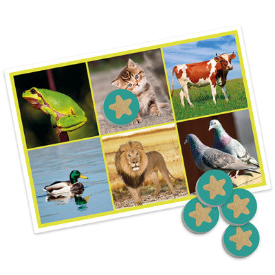 Bingó - dýr og náttúra