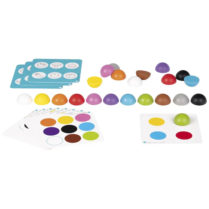 Skynjunarkassi og spil