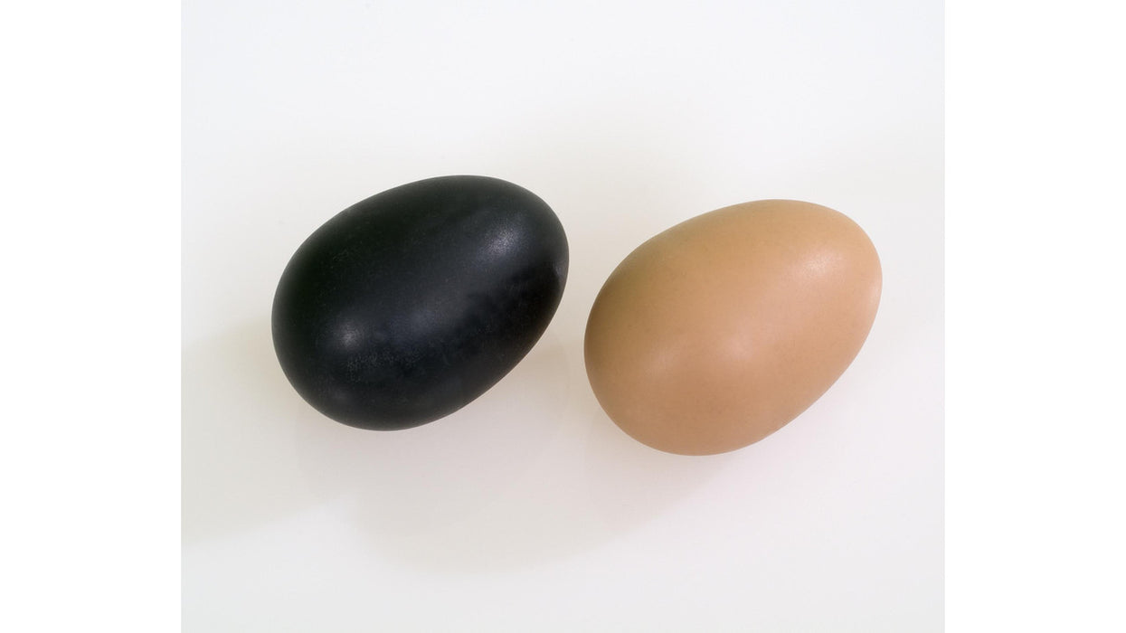 Hljóðfæri hristur egg 6 stk